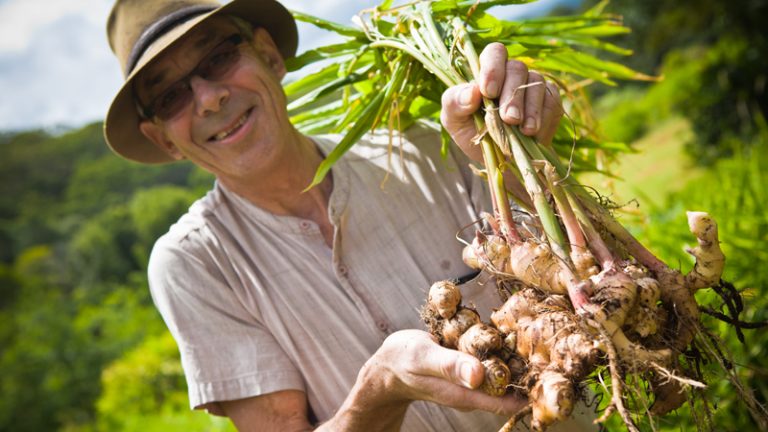 mighty bean tempeh1 1 768x432