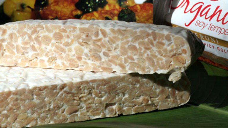 mighty bean tempeh2 1 768x432