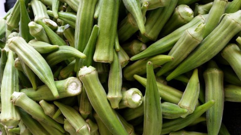 petersens farm1 1 768x432