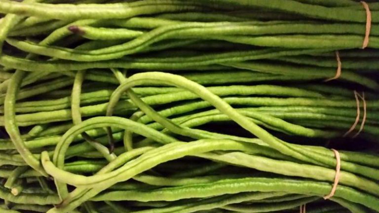 petersens farm2 1 768x432