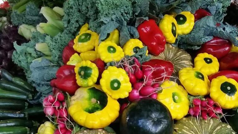 shambhala farm3 1 768x432