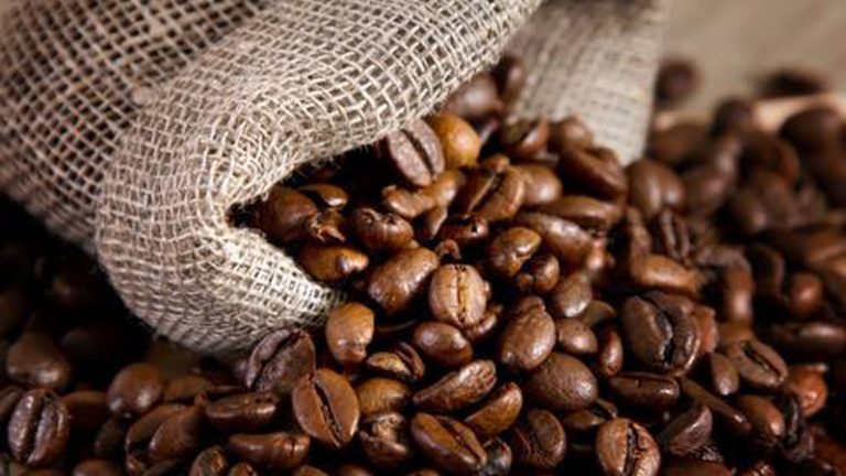 sunshine coast coffee roastery3 1 768x432