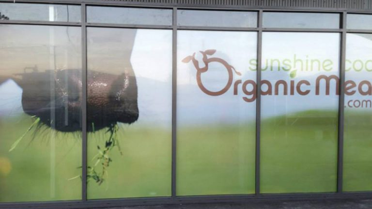 sunshine coast organic meats2 1 768x432