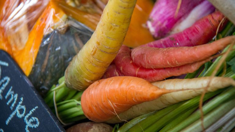 the falls farm1 1 768x432