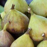 the fig lady 1 150x150