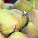 the fig lady 3 150x150