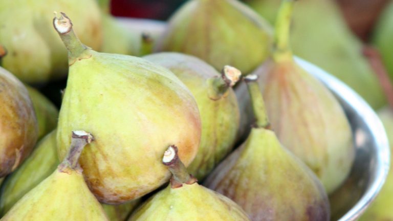 the fig lady 3 768x432