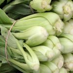 vegetables5 1 150x150