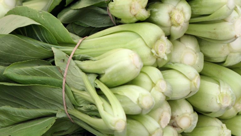 vegetables5 1 768x432