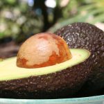wharenui avocados 2 150x150