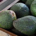wharenui avocados 3 150x150