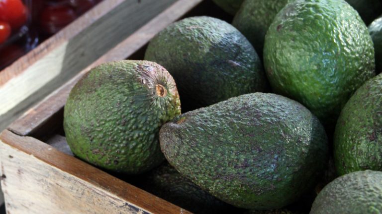 wharenui avocados 3 768x432