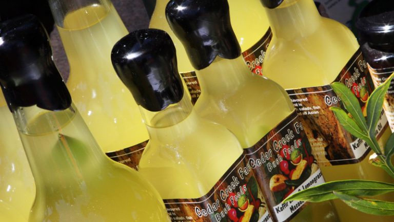 cedar creek farm2 1 768x432