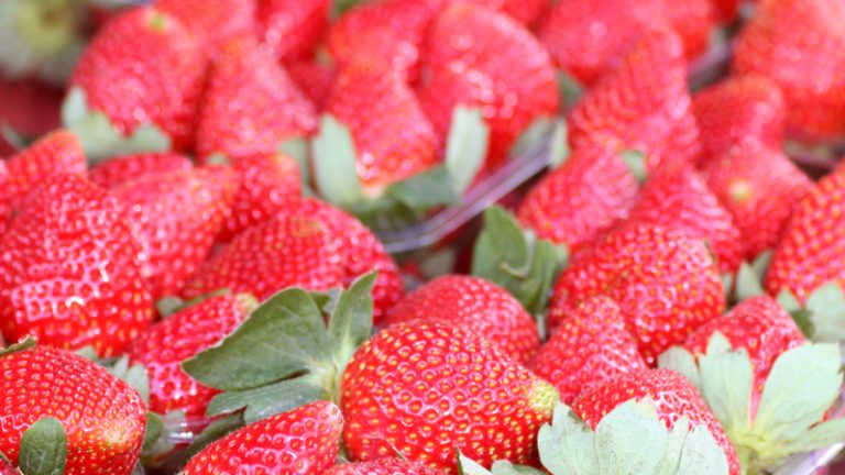 coochin hills organics 1 768x432