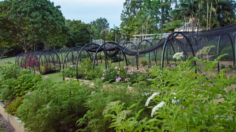 gourmet garnishes5 1 768x432