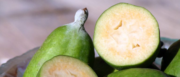 hinterland feijoas 768x331