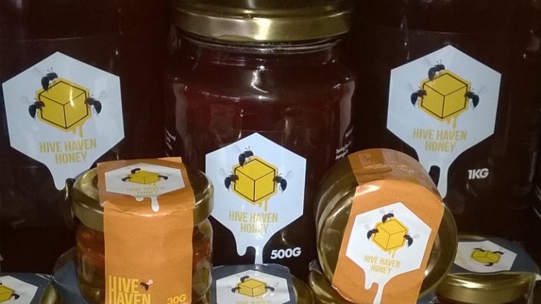 hive haven1 1 768x432