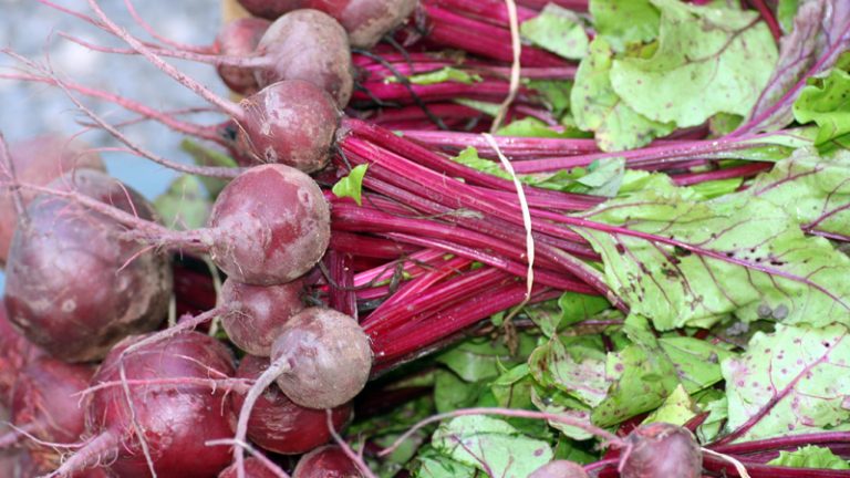 noosa farmers market2 768x432