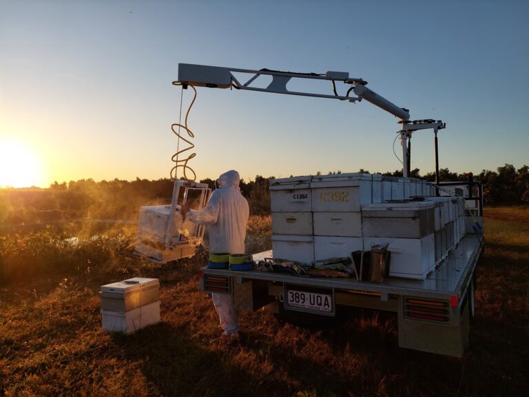 Yanjala Farm1 768x576