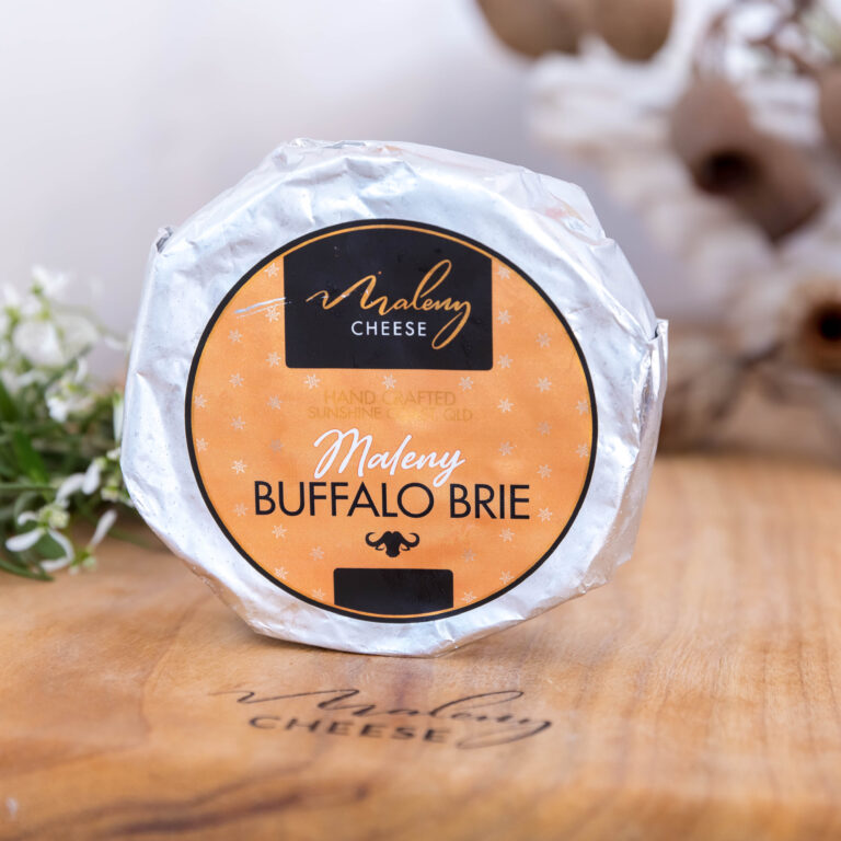 M cheese web 9 2 768x768