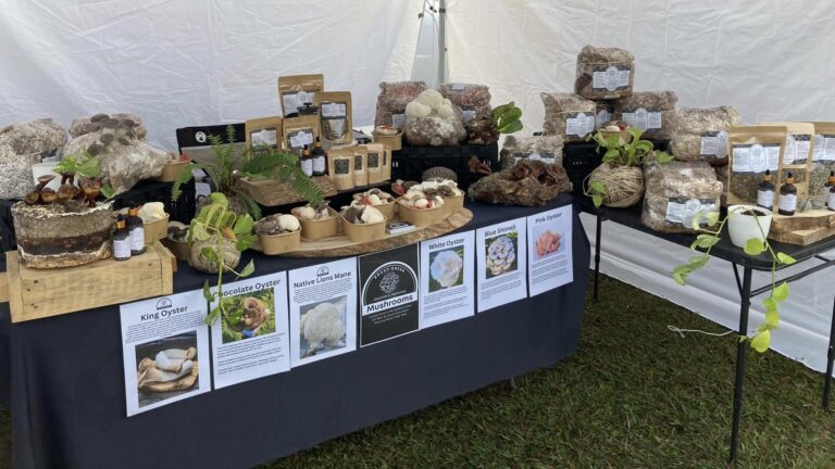 474460999 122194003328187648 3674067509952078713 n 768x432