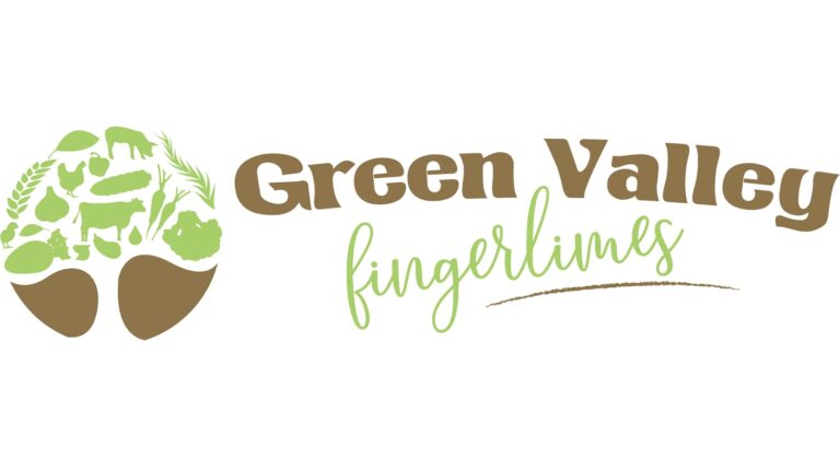 496795167 4371752983051939 7283184980765265539 n 768x432