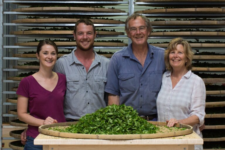 Arakai Tea 3001 © FYRE 768x512