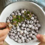 Midyim Berries flower 150x150