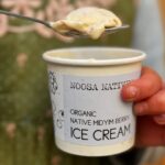 Midyim Berry Ice Cream 1 150x150