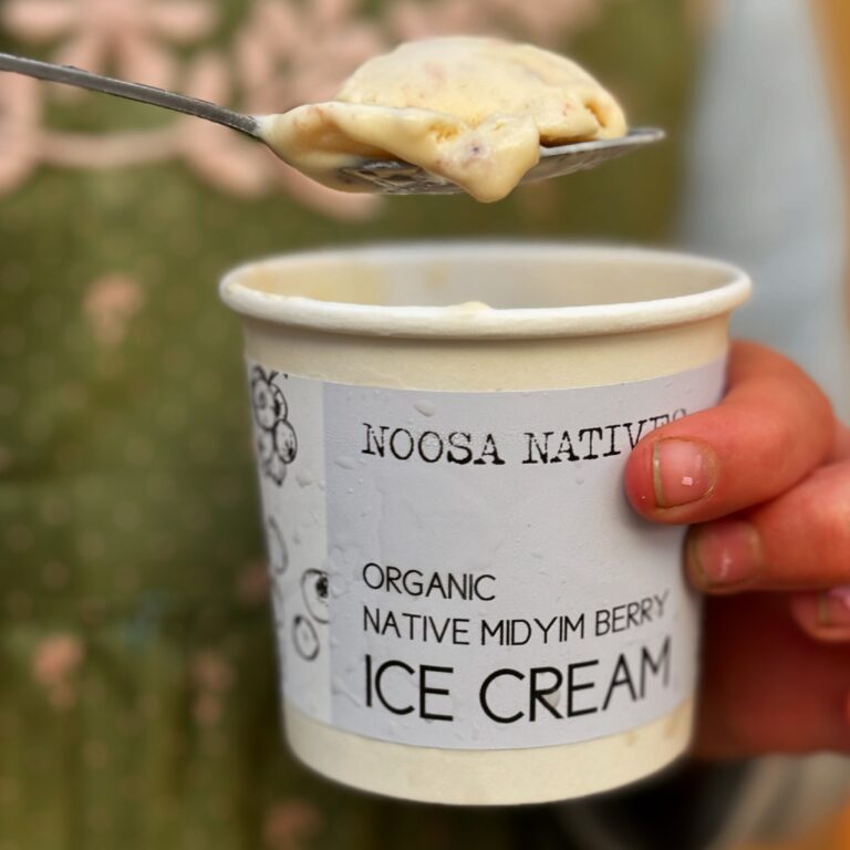 Midyim Berry Ice Cream 1 768x768