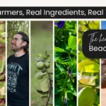 SHOPIFY LANDSCAPE 2 6 4f5c9817 36d5 452c b1b5 8b761e2c06fe 150x150