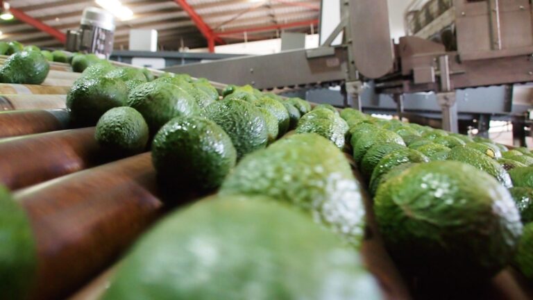 cropped P8103201 1 768x432